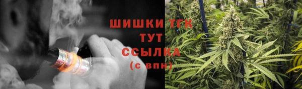 ПСИЛОЦИБИНОВЫЕ ГРИБЫ Дмитровск