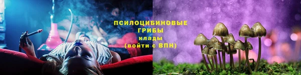 2c-b Дмитров