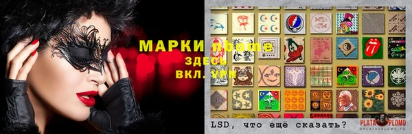 ПСИЛОЦИБИНОВЫЕ ГРИБЫ Дмитровск