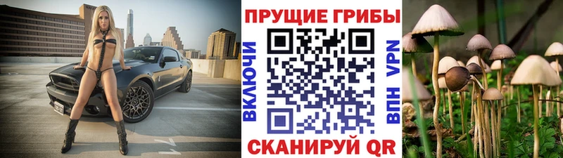 omg   Оха  Галлюциногенные грибы мицелий 
